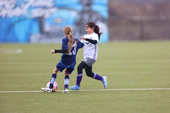 20250215StingAustinG14-7453