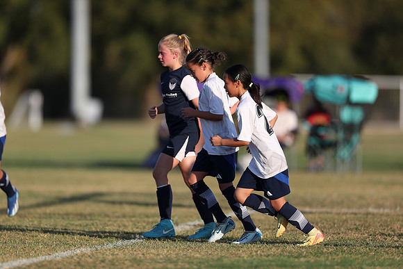 20241027StingG14G8Win-6602