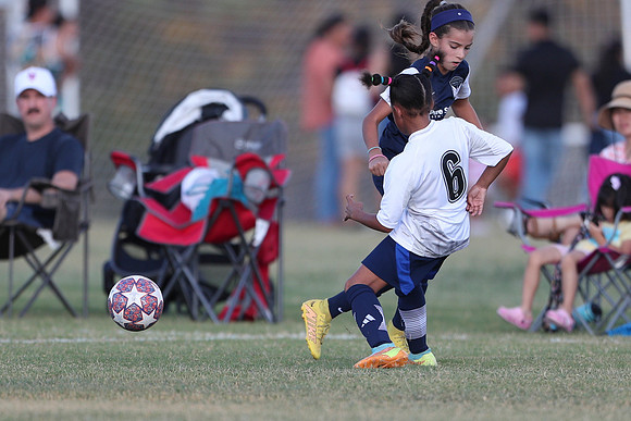 20241027StingG14G8Win-5755