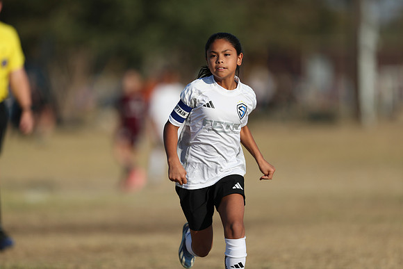 20241012StingG14Game6Win-3952