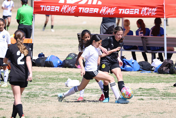 20250316TigerCupG4-4582