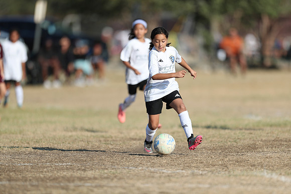 20241012StingG14Game6Win-4819