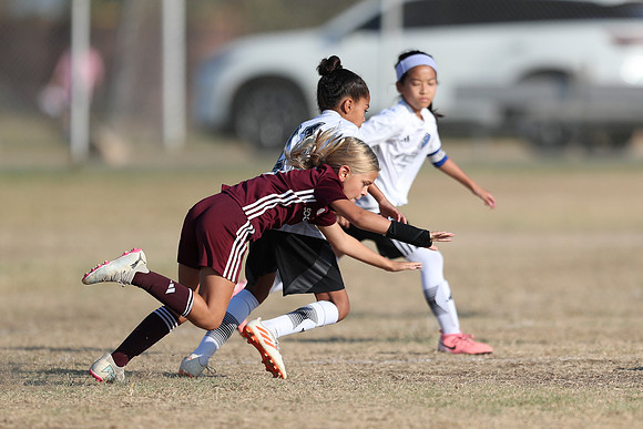 20241012StingG14Game6Win-4632