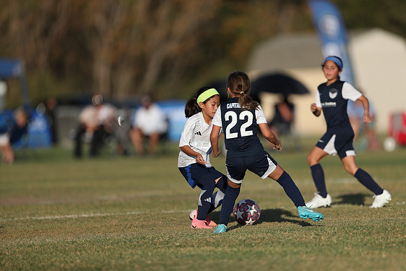 20241027StingG14G8Win-6439