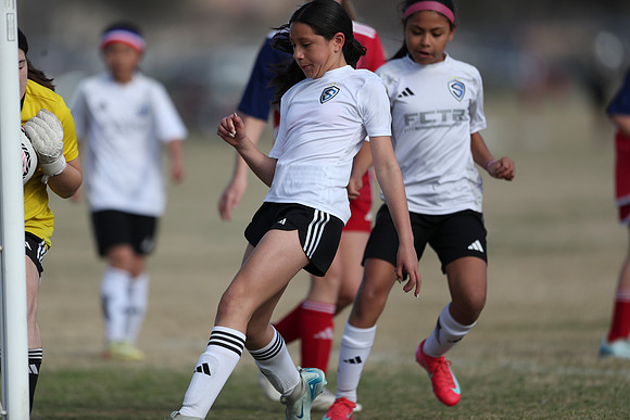 20250315StingAustingG14TigerCupG2-20592