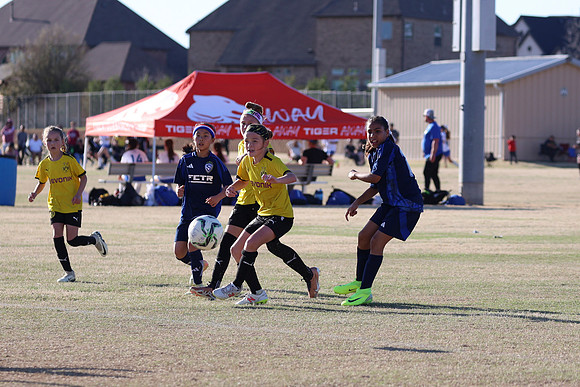 20250316TigerCupG4-5333