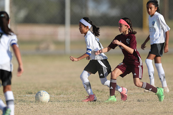 20241012StingG14Game6Win-4585