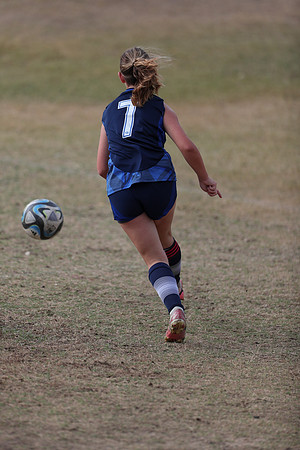20241103StingG12-8361