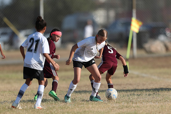 20241012StingG14Game6Win-4542