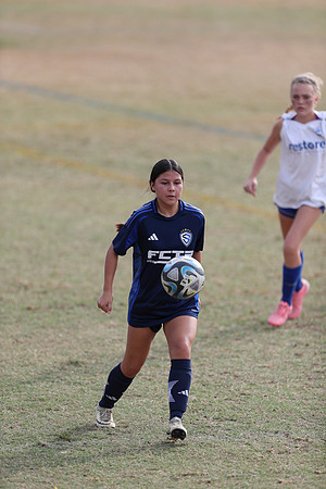 20241103StingG12-8426