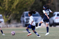 20241027StingG14G8Win-5437
