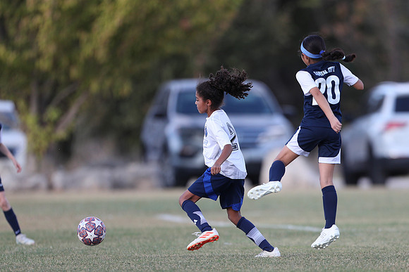 20241027StingG14G8Win-5437