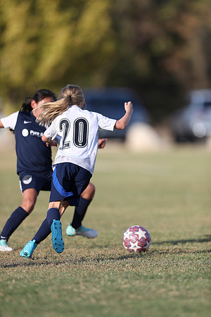 20241027StingG14G8Win-5679