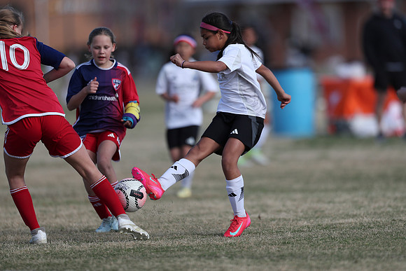 20250315StingAustingG14TigerCupG2-20560