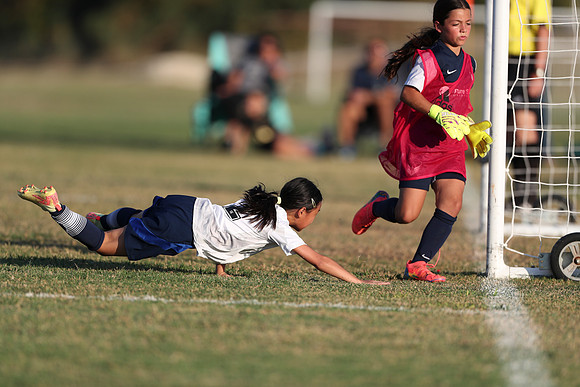 20241027StingG14G8Win-6553