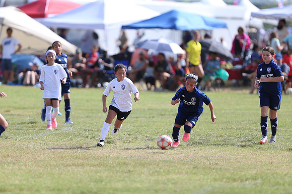 20240831StingLaborDayG2-0324