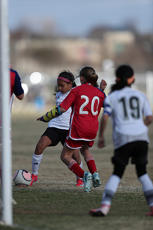 20250315StingAustingG14TigerCupG2-20463