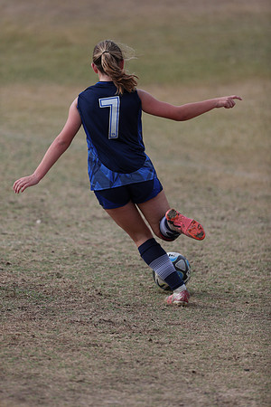 20241103StingG12-8359