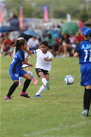 20240831StingLaborDayG3-0678