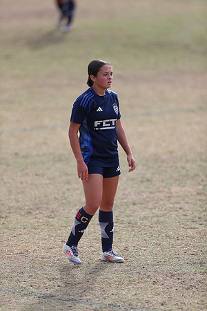 20241103StingG12-8519