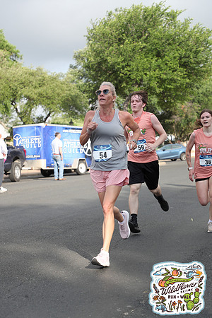 20250426HCMWildflower-20733