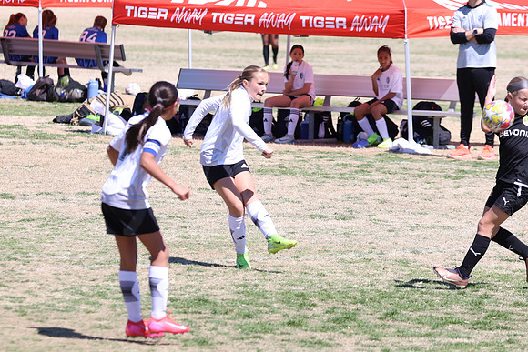 20250316TigerCupG4-4512