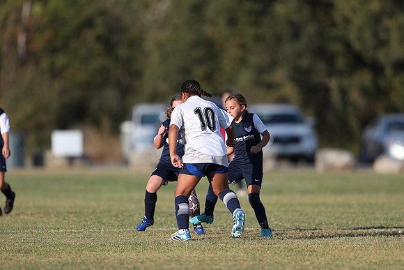 20241027StingG14G8Win-6395