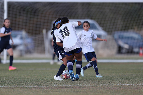 20241027StingG14G8Win-5458