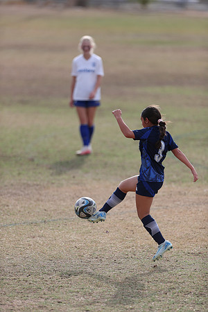 20241103StingG12-8565