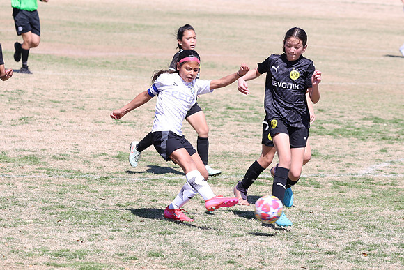 20250316TigerCupG4-4485