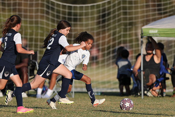 20241027StingG14G8Win-6522