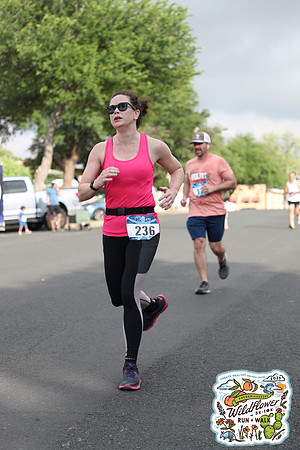 20250426HCMWildflower-20720
