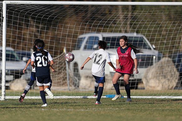 20241027StingG14G8Win-6345