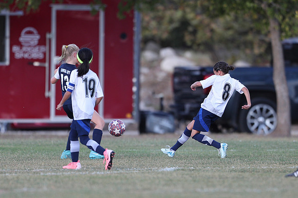 20241027StingG14G8Win-5520