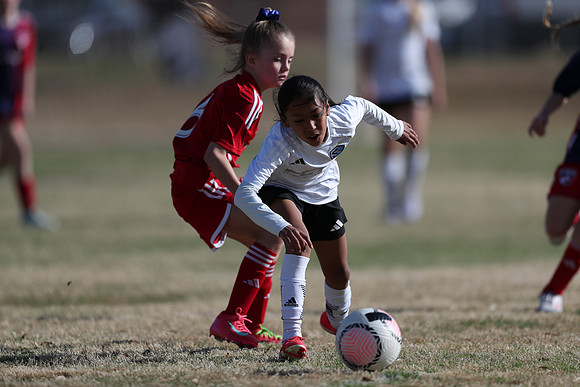 20250315StingAustingG14TigerCupG2-20308