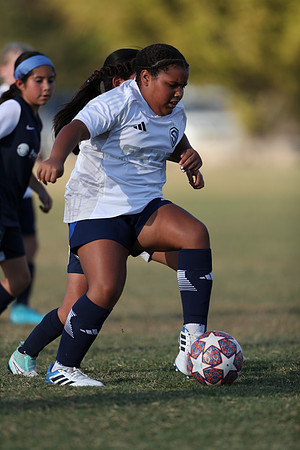 20241027StingG14G8Win-5698
