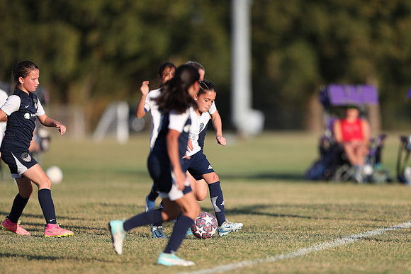 20241027StingG14G8Win-6578