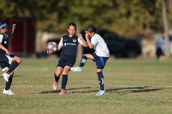 20241027StingG14G8Win-6266
