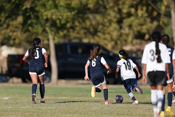 20241027StingG14G8Win-5944