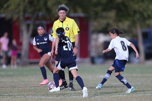 20241027StingG14G8Win-5487