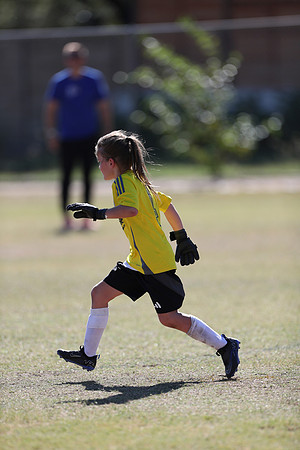 20240928StingG4Win-8188