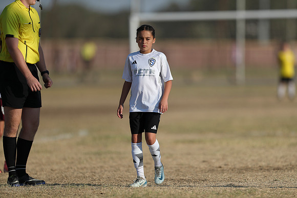 20241012StingG14Game6Win-3978