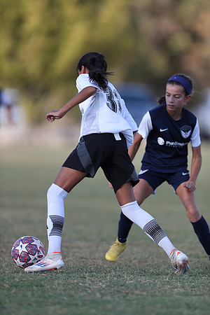 20241027StingG14G8Win-5621