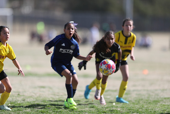 20250315StingAustingG14TigerCupG1-20696