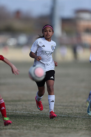 20250315StingAustingG14TigerCupG2-20476