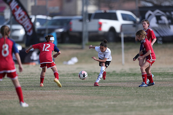 20250315StingAustingG14TigerCupG2-20599
