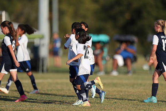 20241027StingG14G8Win-6610