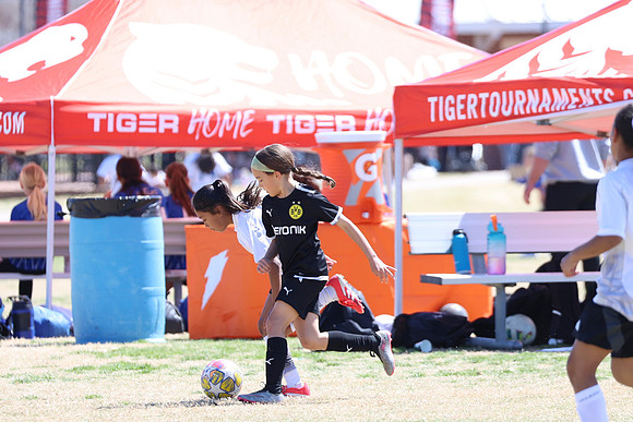 20250316TigerCupG4-4196