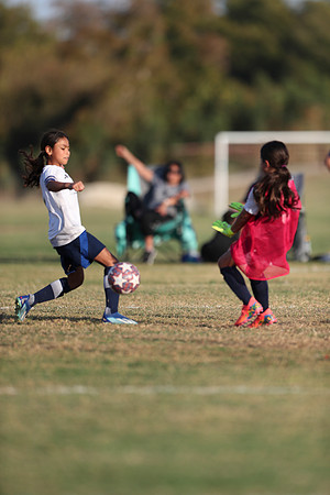 20241027StingG14G8Win-6418