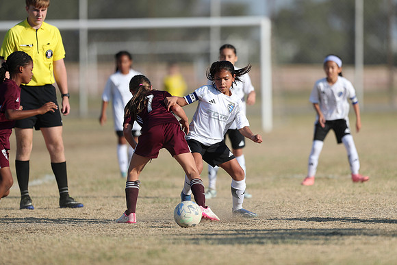 20241012StingG14Game6Win-4576